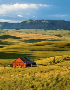 Montana Ranch in the Grasslands