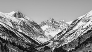 Teeny Tiny Trees Out West