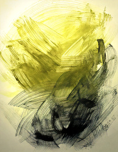 Not Your Everyday Colours