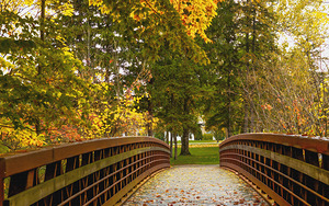Wooden Bridge Over the River