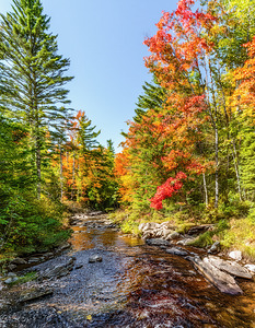 Sunny Day in Muskoka