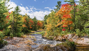 Muskoka colours keep changing