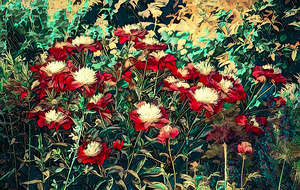 Overgrown - House for Sale