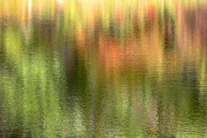 Pennsylvania Reflection 