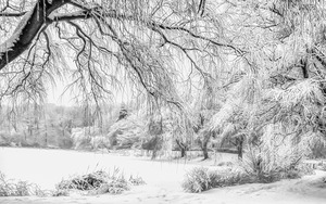 Snowy Grenadier Pond in High Park