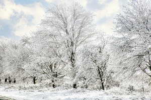 Wrapped in a Blanket of Ice