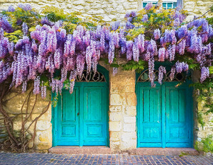 No the Colours Do Not Clash