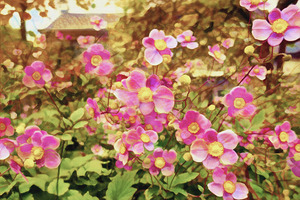 Fantastic Flowering Curb Appeal
