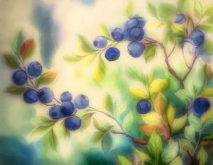 Blueberry Fields Forever