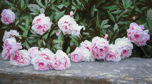 Leaside Peonies