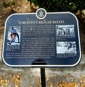 Torontos Raggae Roots