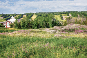 Blue Mountains Ski Runs in Summer