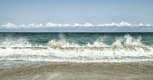 The Beauty of Virginia Beach 