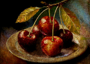 Cherries Just Picked