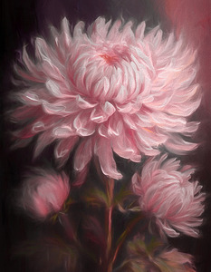 Pink Dahlia in the Evening