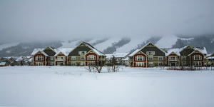BLUE MOUNTAIN CHALETS
