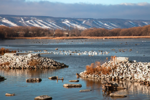 Collingwood Ski Slopes