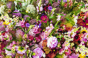 Flowers at the Flower Market