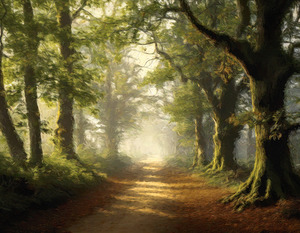 Small Trail Through Big Trees