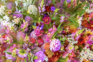 Toronto Flower Market in 2024