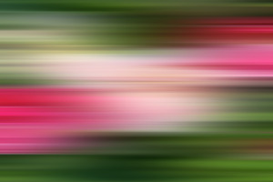 Toronto Summer Marathon by Thea Menagh