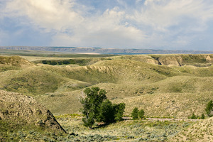 Near Shelby in Alberta Grasslands