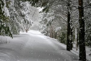 Your Turn to Shovel the Driveway