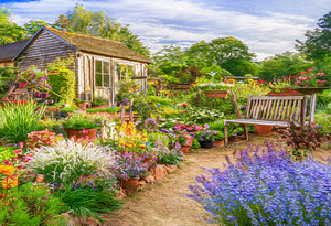 My Shed at the Back of the Garden
