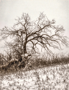 Reaching out for a hugger