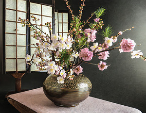 Pink and White Cherry Blossoms