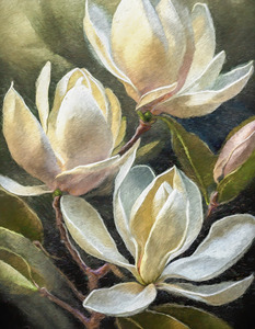 Magnolias