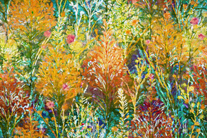 Midsummer Meadow