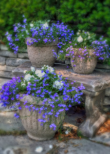Planters in Blue