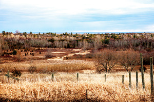 Landscape Around Lake Ontario