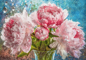 Peonies in the Rain