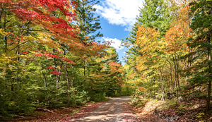 NORTHERN ONTARIO IN THE FALL