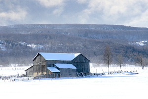 Barn in the Valley Near Collingwood