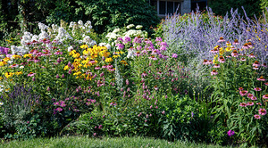 One of My favourite gardens