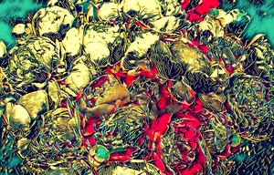 Faces in the Flowers