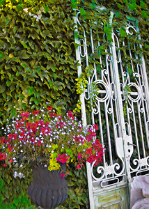 Flowers and Old Iron Gate 