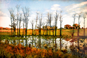 Fall Colours On the Farm