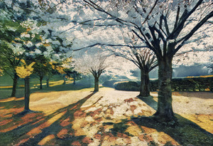 Spring in High Park Toronto