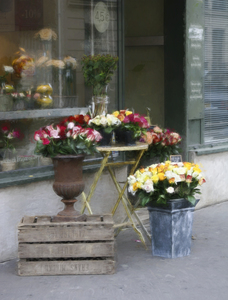 Roses Outside a Parisian Shop
