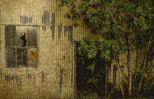 Creepy Shed in Shelby