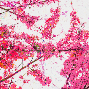 Sakura Tree with Cherry Blossoms