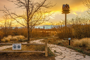 Park on Lake Shore West