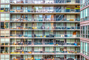 View from My Home Office Window