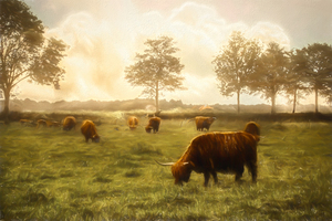 Dutch Farm on a Misty Morning