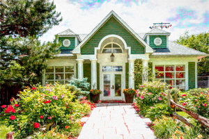 Dream Cottage in the City