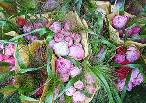 Peonies Hugging Grass in Baskets